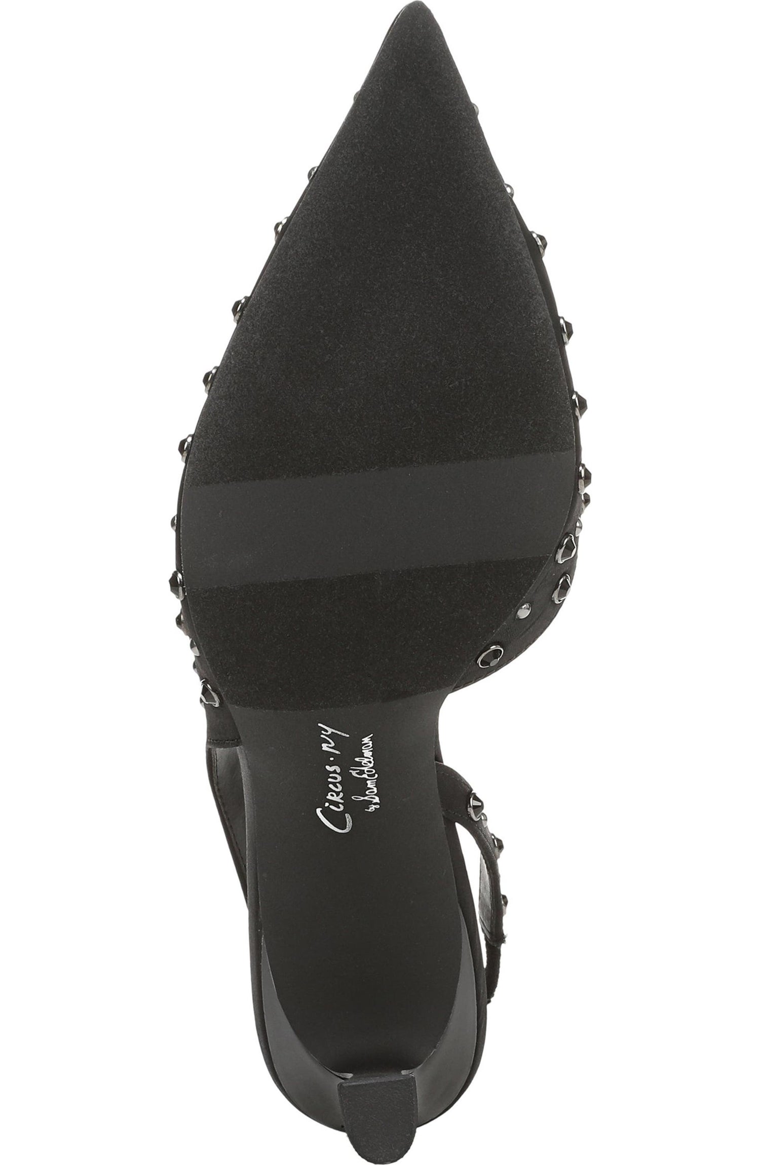 Circus NY by Sam Edelman Women's Tallie Pointed Toe Slingback Pump