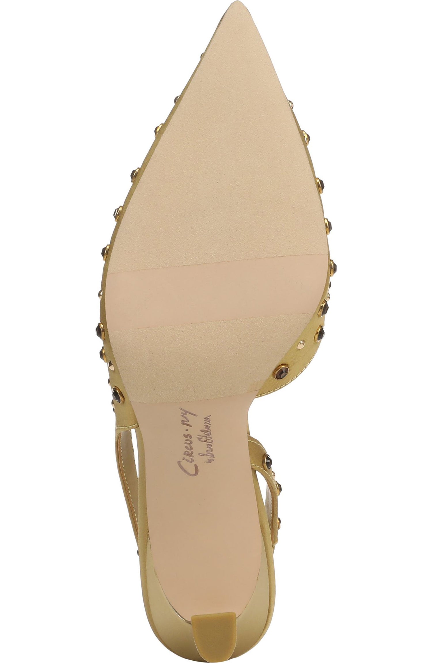 Circus NY by Sam Edelman Women's Tallie Pointed Toe Slingback Pump