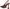 Sam Edelman Women's Odette Slingback Pump