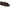 Hickory Brown