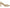 Franco Sarto Women's Tawny 2 d'Orsay Pump
