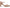 Naturalizer Women's Yasmin Ankle Strap Dress Pump