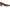 Franco Sarto Women's Salino Square Toe Pump