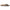 Birkenstock Madrid BS Women's Sandals