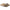 Birkenstock Madrid BS Women's Sandals
