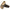 Birkenstock Madrid BS Women's Sandals