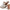Franco Sarto Analise2 Women's Sandal