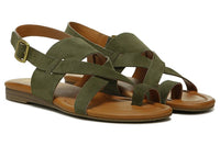 Olive Green