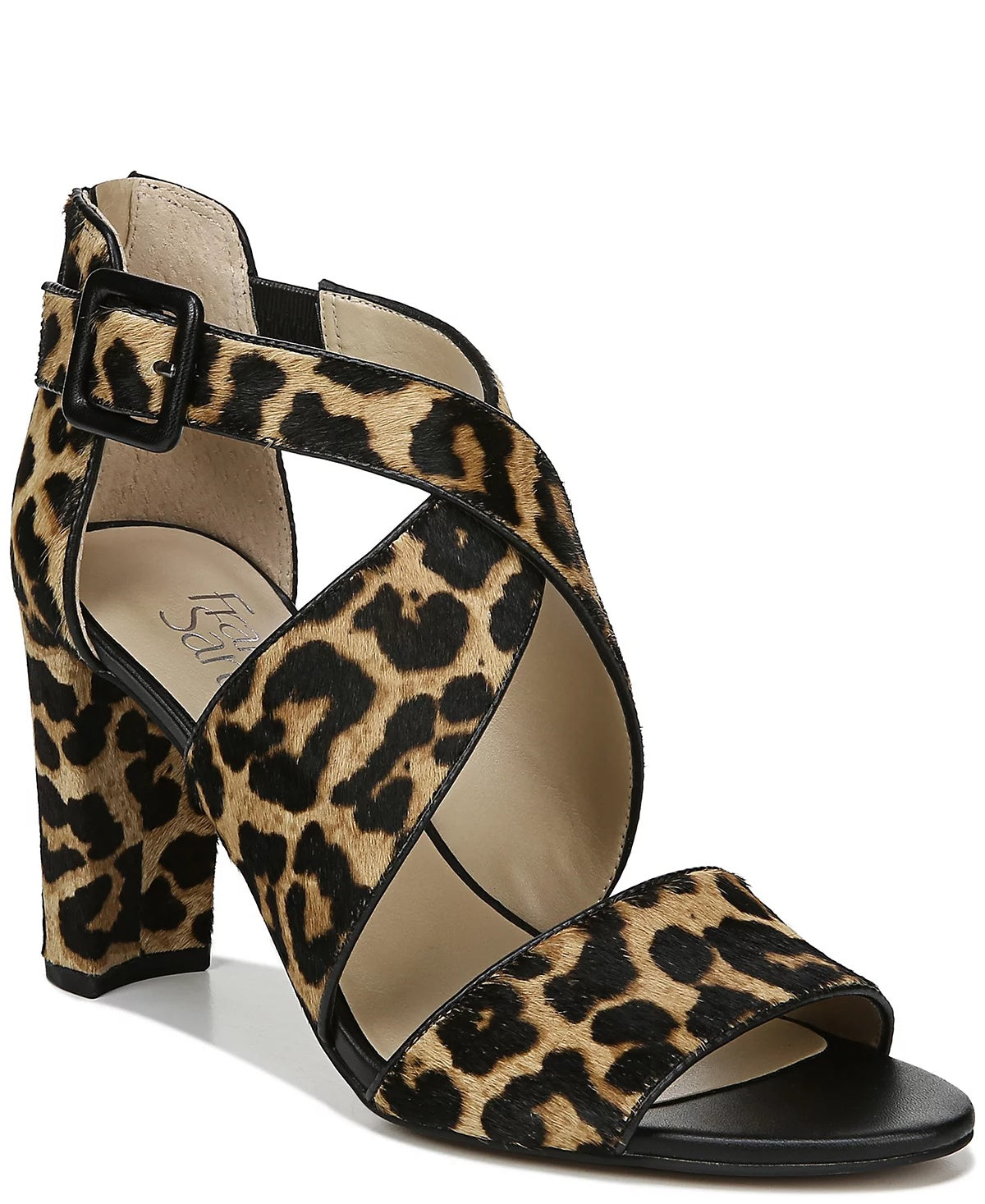 Camel Leopard
