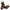 Birkenstock Women's Uppsala Shearling Mid Calf Boot