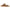 Birkenstock Arizona Big Buckle Women's Sandals