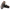 Birkenstock Unisex Boston Clogs