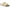 Eggshell