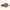 Birkenstock Kyoto Women's Sandals