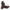 Birkenstock Birmingham Lace Men's Boots