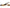 Veronica Beard Women's Cecile Slingback Heels NW/OB