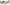 Spearmint