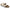 Canvas Eggshell