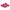 Fuchsia Tulip Teddy