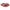 Fuchsia Tulip