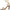 Franco Sarto L-Eleanor Women's Sandals NW/OB