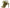 Sam Edelman Jacinta Women's Sandals NW/OB