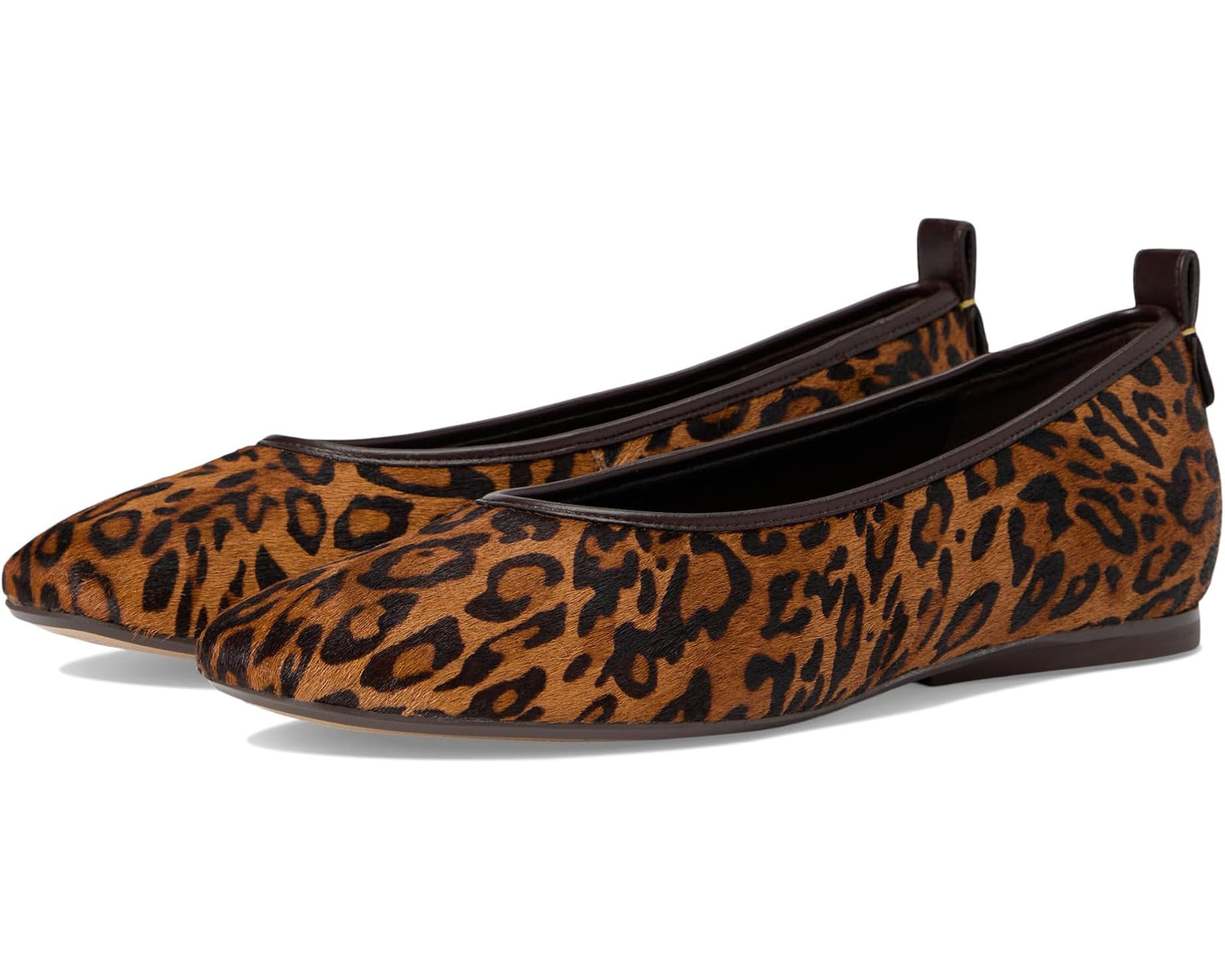 Cheetah Print