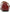 Naturalizer Women's Carter Flats NW/OB