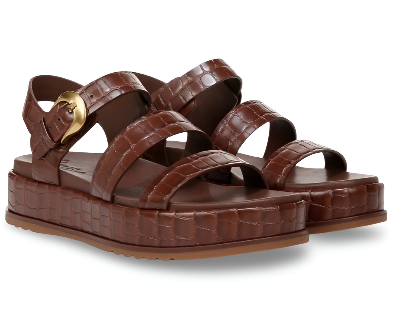 Brown Crocodile