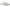 Ambrosia Green