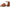 Comfortiva Women's Newnan Heeled Sandals NW/OB