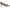 Circus by Sam Edelman Women's Fleur Pointed Toe Pump NW/OB