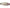 Circus by Sam Edelman Tiffany Women's Loafers NW/OB