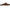 Sam Edelman Linnie Women's Mules NW/OB