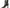 Circus by Sam Edelman Women's Evie Buckle Heel Boots NW/OB