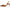 Veronica Beard Women's Roxy Slingback Pump NW/OB