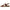 Soul Naturalizer Shakina Women's Flat Sandals NW/OB
