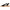 Dr. Scholl's Isle Fun Women's Sandals