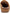 Soul By Naturalizer Women's Amelia Clog NW/OB