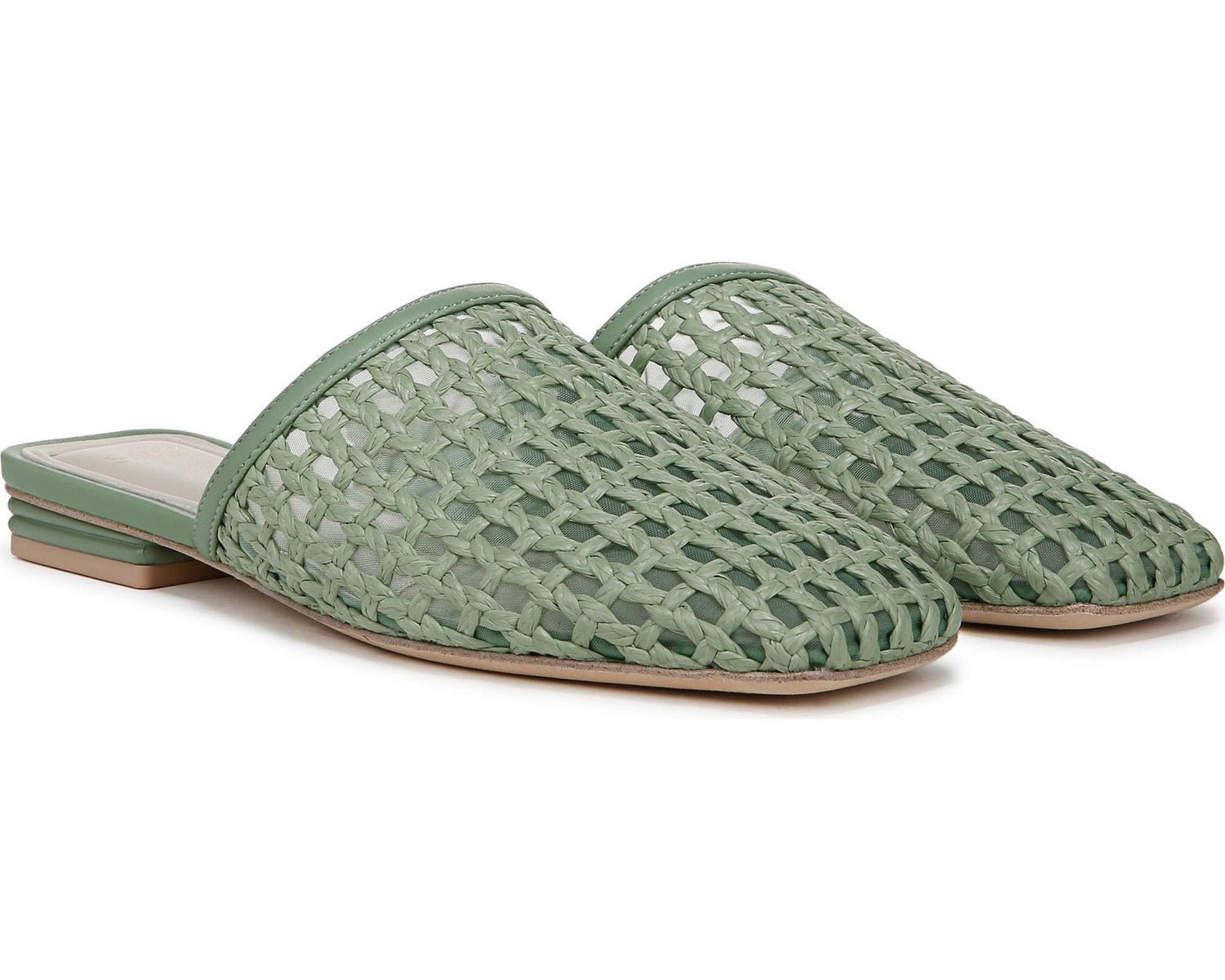 Aloe Green