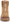 Sam Edelman Women's Elliot Combat Boots NW/OB