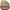 Sam Edelman Irina Women's Modern Sandals NW/OB