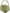 Sam Edelman Women's Judie Mule NW/OB