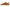Birkenstock Milano Big Buckle Women's Sandals NW/OB