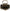 Sam Edelman Women's Treena Slingback Kitten Heel  NW/OB