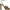 Sam Edelman Kristen Women's Heels NW/OB