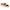 Papillio by Birkenstock Arizona Chunky Women's Sandals NW/OB