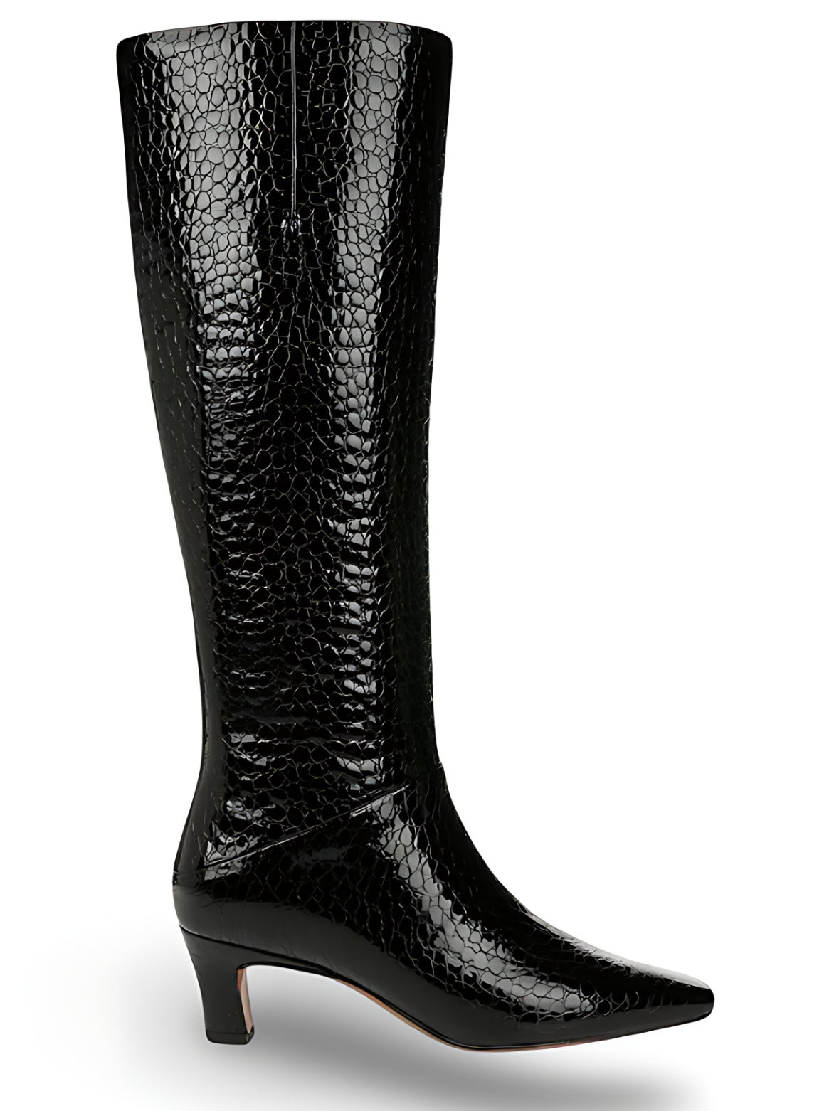 Franco Sarto Andria Women's Pointed Toe Knee High Boot NW/OB
