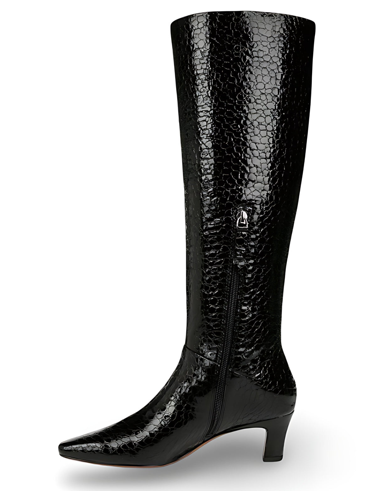 Franco Sarto Andria Women's Pointed Toe Knee High Boot NW/OB