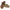 Birkenstock Gizeh Big Buckle Women's Sandals NW/OB
